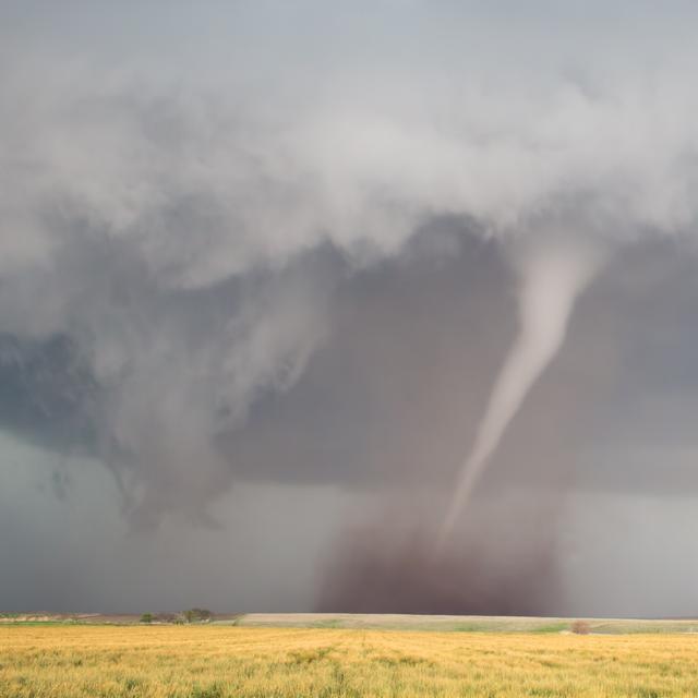 Le Jour O Une Tornade Meurtri re A D vast Paris le-jour-o-une-tornade-meurtri-re-a-d-vast-paris